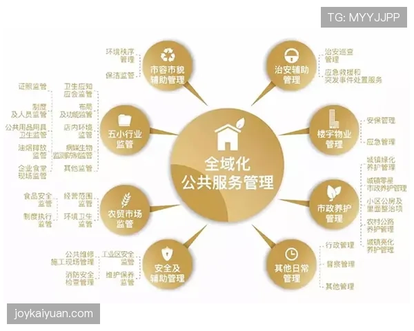 B费的情绪化表现如何制约其比赛稳定性？